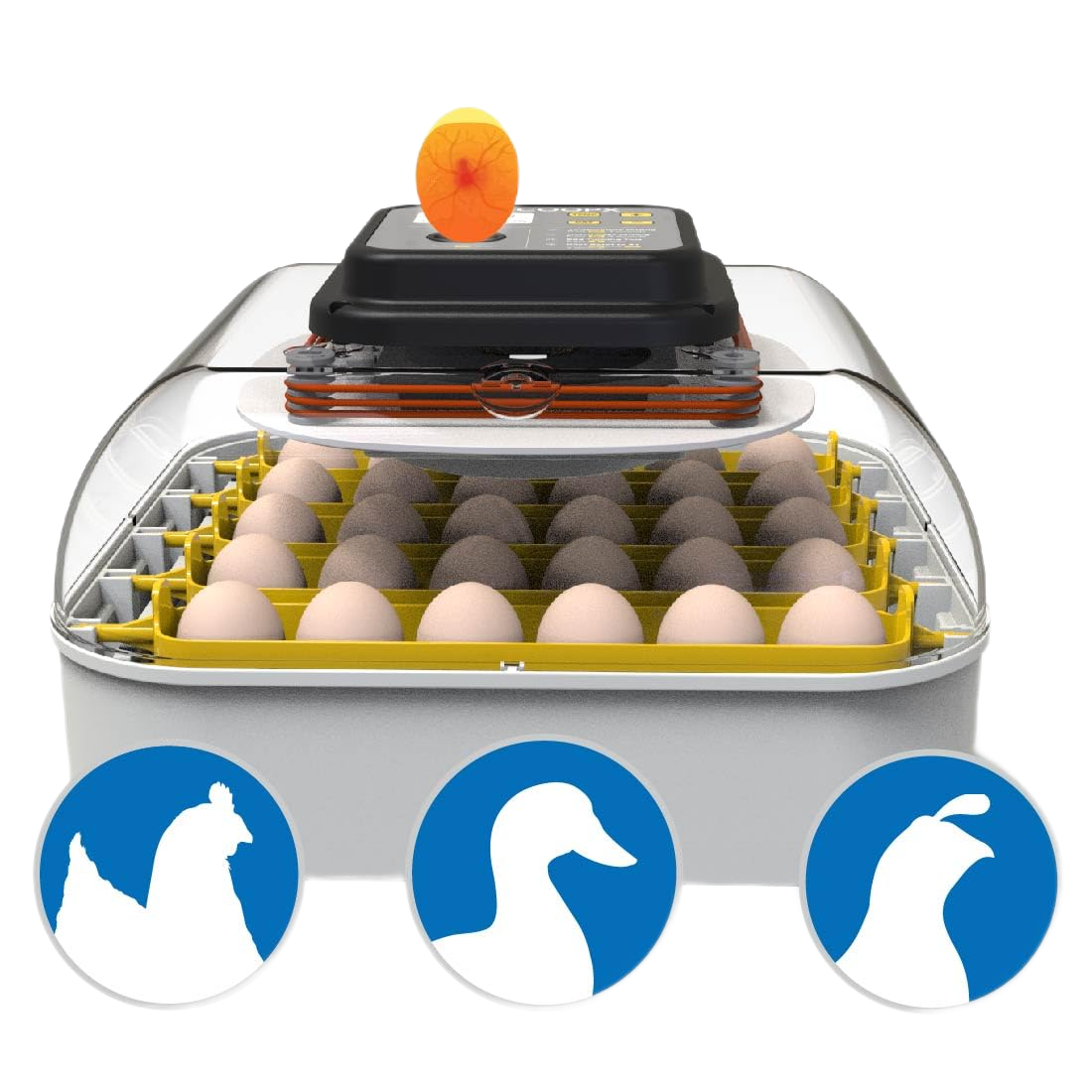 MATICOOPX 30 Egg Incubator